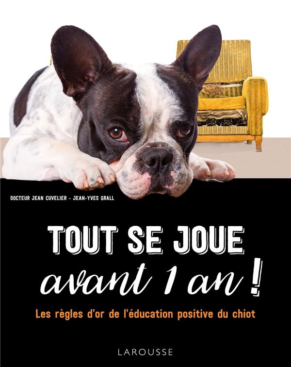 TOUT SE JOUE AVANT 1 AN ! - LES REGLES D'OR DE L'EDUCATION POSITIVE DU CHIOT