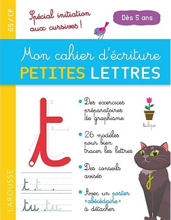 MON CAHIER D'ECRITURE PETITES LETTRES DES 5 ANS