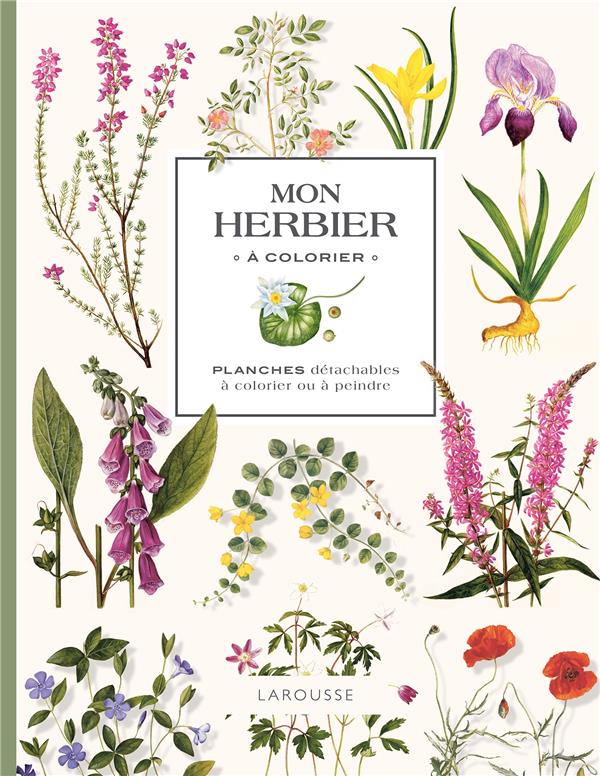 MON HERBIER A COLORIER