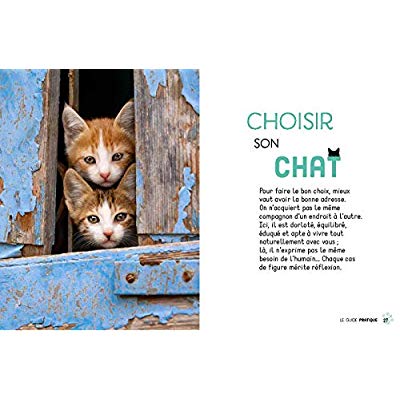 LA VIE SECRETE DES CHATS - LE GUIDE PRATIQUE