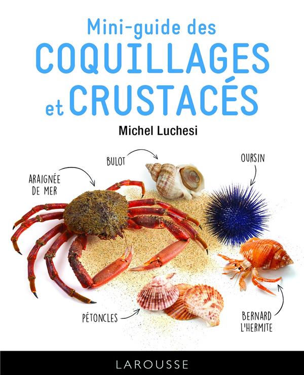 LE MINI-GUIDE DES COQUILLAGES ET CRUSTACES