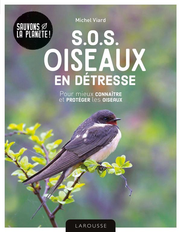 SOS OISEAUX EN DETRESSE