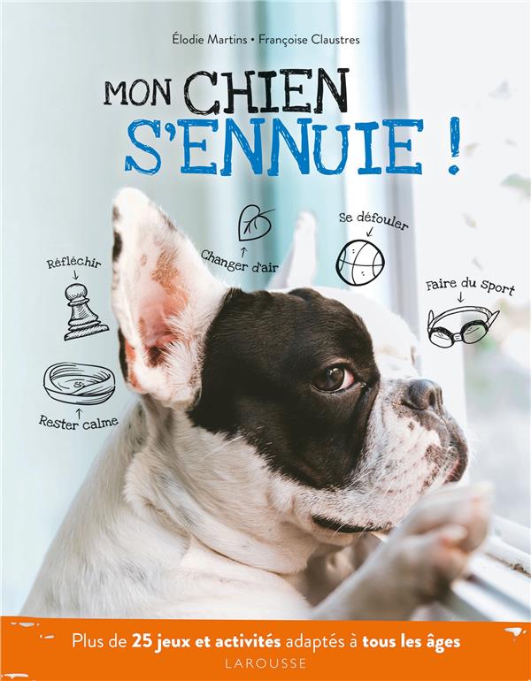 MON CHIEN S'ENNUIE ! - PLUS DE 25 JEUX ET ACTIVITES ADAPTES A TOUS LES AGES