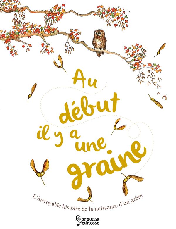 AU DEBUT IL Y A UNE GRAINE