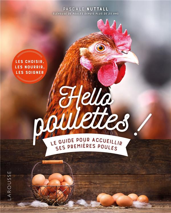 HELLO POULETTES ! LE GUIDE POUR ACCUEILLIR SES PREMIERES POULES