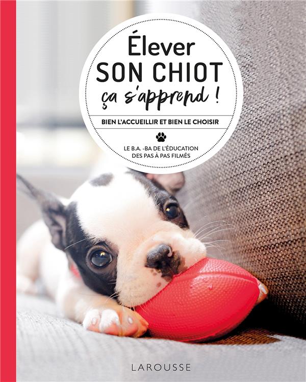COMMENT ELEVER SON CHIOT (AU TOP !)