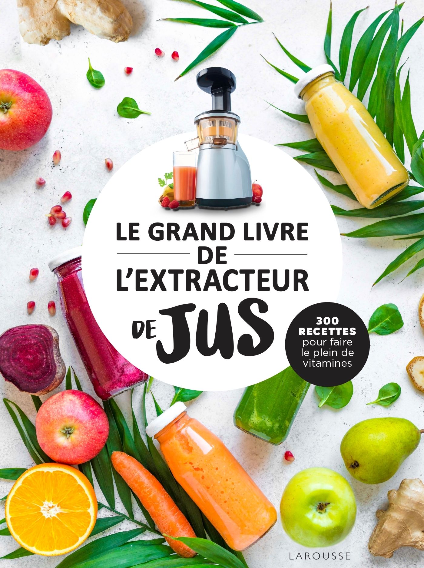 LE GRAND LIVRE DE L'EXTRACTEUR DE JUS - 300 RECETTES POUR FAIRE LE PLEIN DE VITAMINES