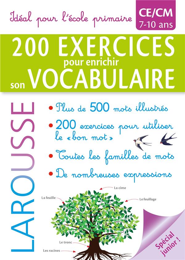 500 EXERCICES AUTOUR DES MOTS - SPECIAL PRIMAIRE