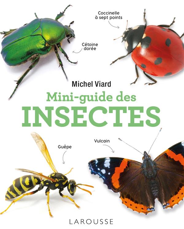 MINI-GUIDE DES INSECTES