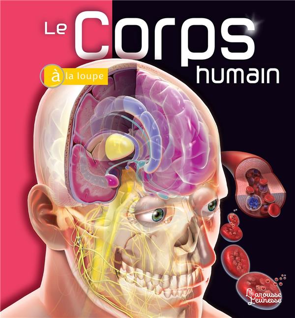 LE CORPS HUMAIN