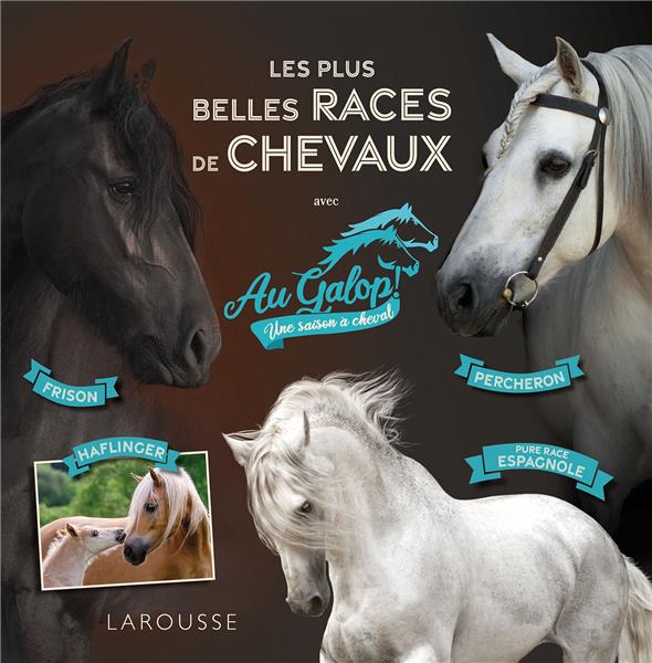 AU GALOP - LES PLUS BELLES RACES DE CHEVAUX