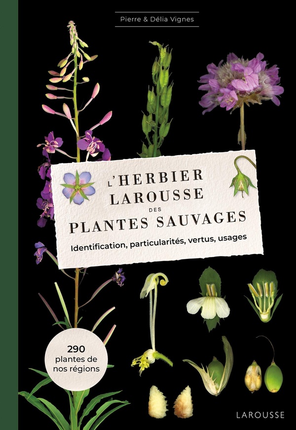 L'HERBIER DES PLANTES SAUVAGES