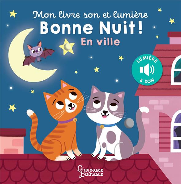 MON LIVRE SON ET LUMIERE : BONNE NUIT EN VILLE