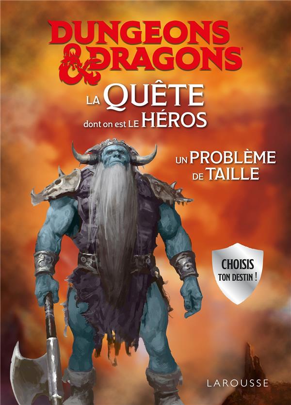 DUNGEONS & DRAGONS LA QUETE DONT ON EST LE HEROS - UN PROBLEME DE TAILLE