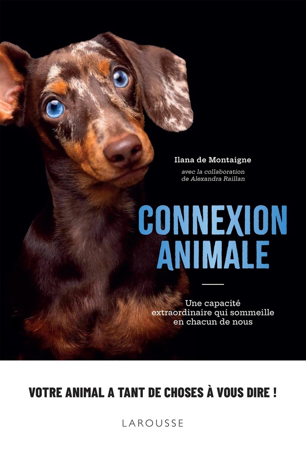 CONNEXION ANIMALE - UNE CAPACITE EXTRAORDINAIRE QUI SOMMEILLE EN CHACUN DE NOUS