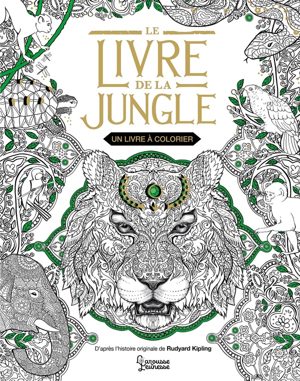 LE LIVRE DE LA JUNGLE - UN LIVRE A COLORIER