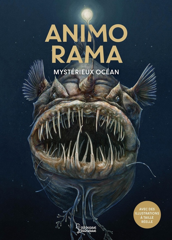ANIMO RAMA MYSTERIEUX OCEAN