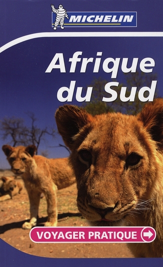 LIVRES THEMATIQUES TOURISTIQUE - T7175 - VOYAGER PRATIQUE AFRIQUE DU SUD