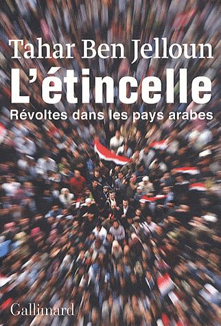 L'ETINCELLE - REVOLTES DANS LES PAYS ARABES