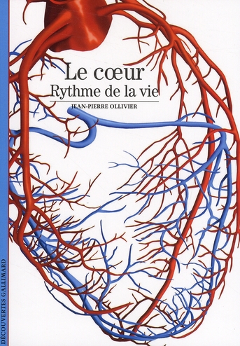 LE COEUR - RYTHME DE LA VIE