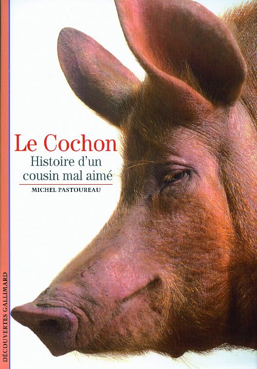 LE COCHON - HISTOIRE D'UN COUSIN MAL AIME