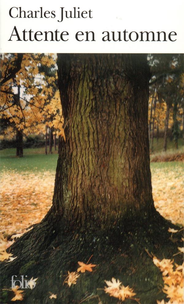 ATTENTE EN AUTOMNE/MARIA/TURBULENCES