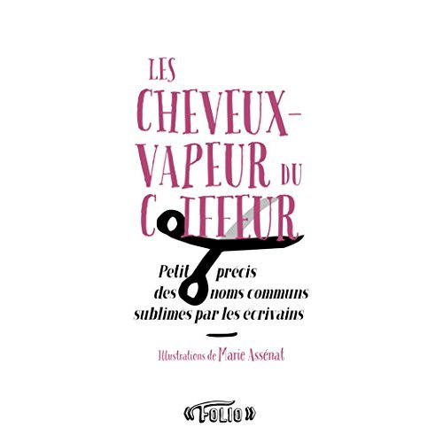 LES CHEVEUX-VAPEUR DU COIFFEUR - PETIT PRECIS DES MOTS COMMUNS SUBLIMES PAR LES ECRIVAINS