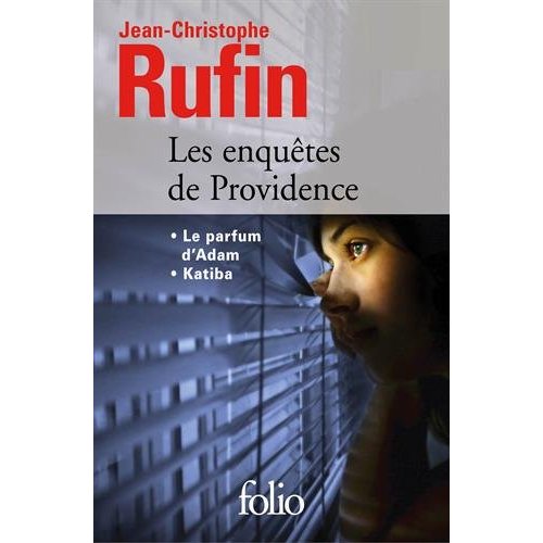 LES ENQUETES DE PROVIDENCE