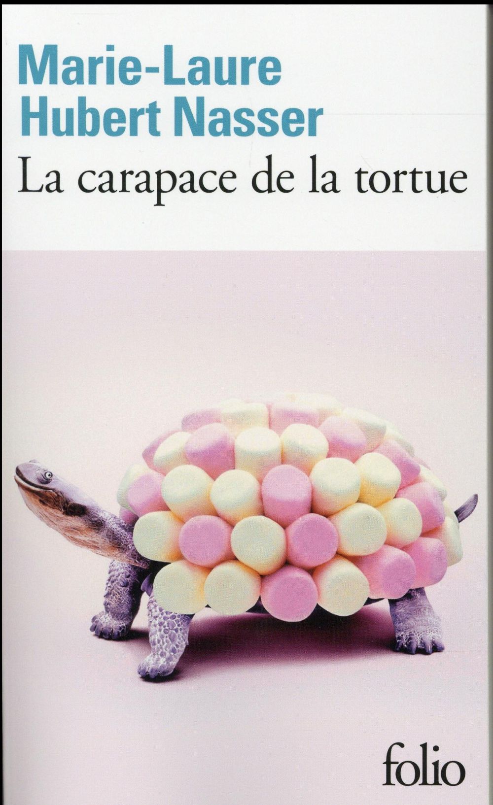 LA CARAPACE DE LA TORTUE