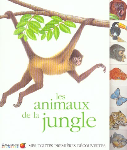 LA NATURE - T11 - LES ANIMAUX DE LA JUNGLE