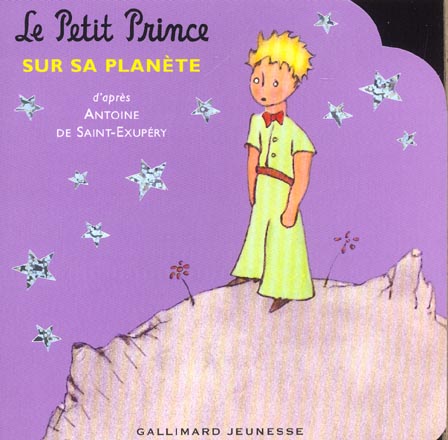 LE PETIT PRINCE SUR SA PLANETE