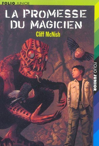 LA PROMESSE DU MAGICIEN