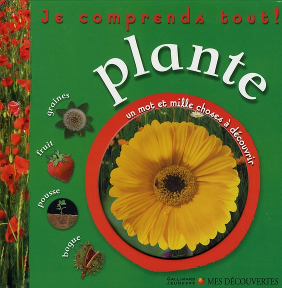 PLANTE