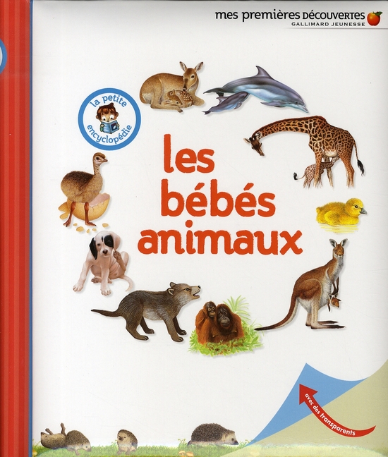 LES BEBES ANIMAUX