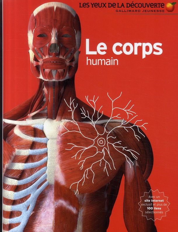 LE CORPS HUMAIN