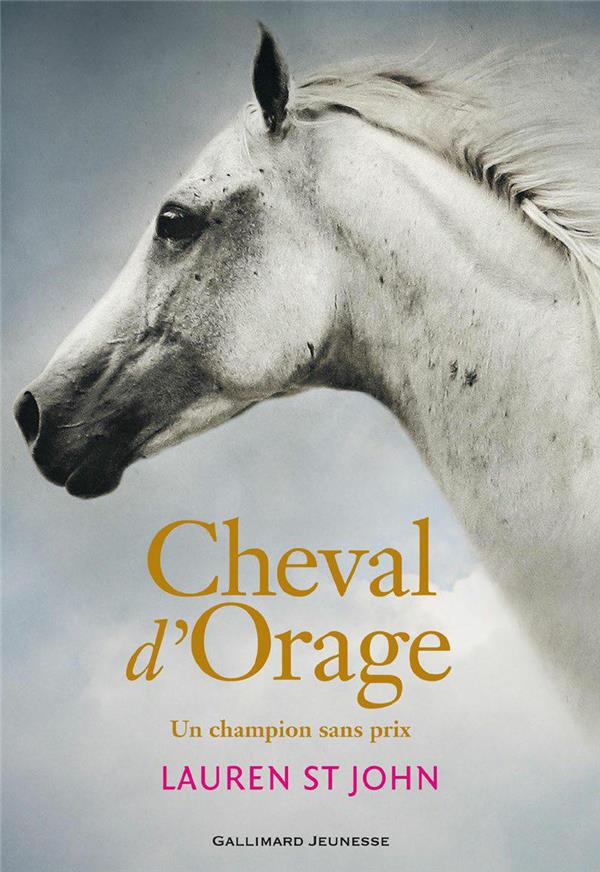 CHEVAL D'ORAGE - VOL01 - UN CHAMPION SANS PRIX