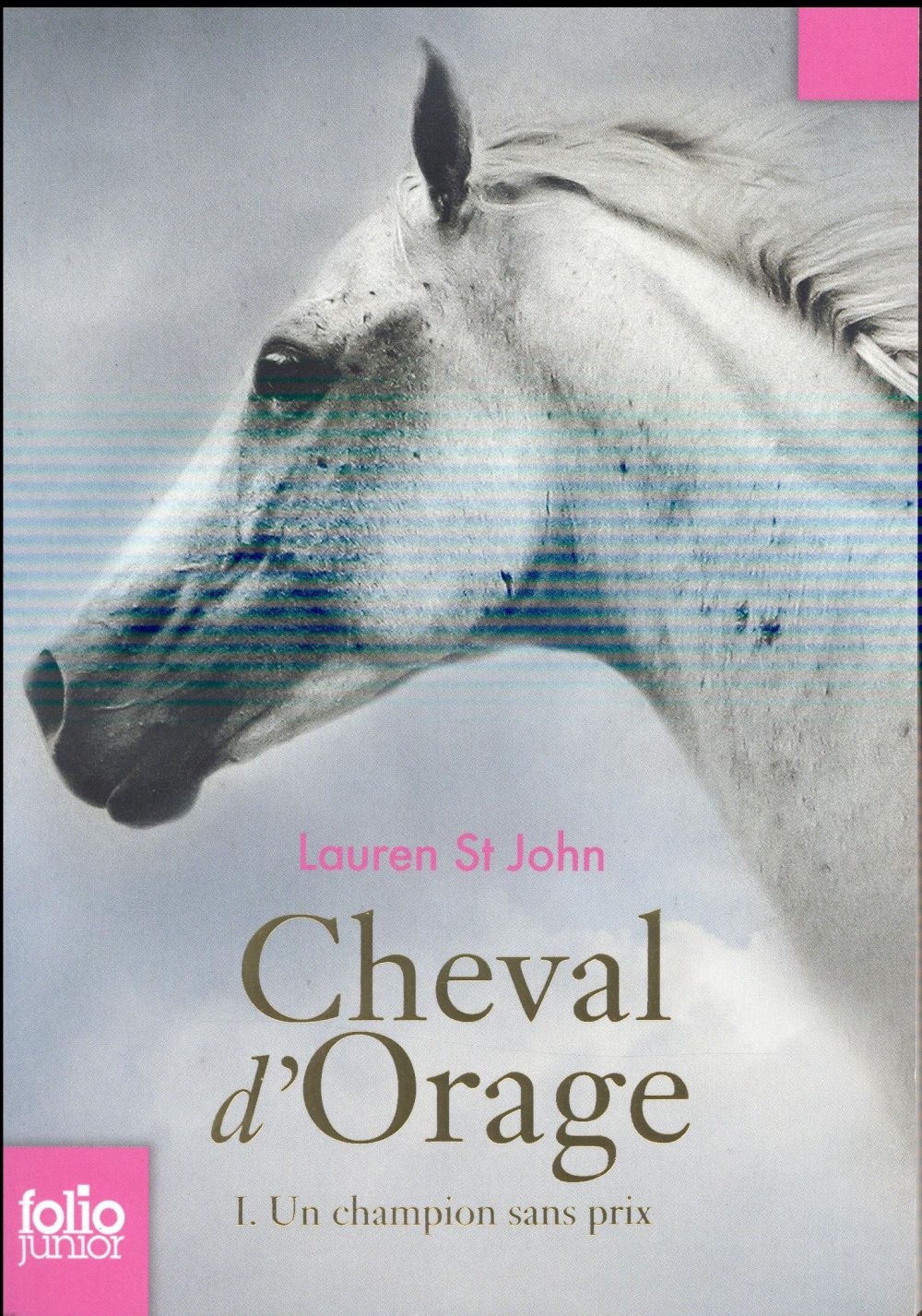 CHEVAL D'ORAGE - VOL01 - UN CHAMPION SANS PRIX