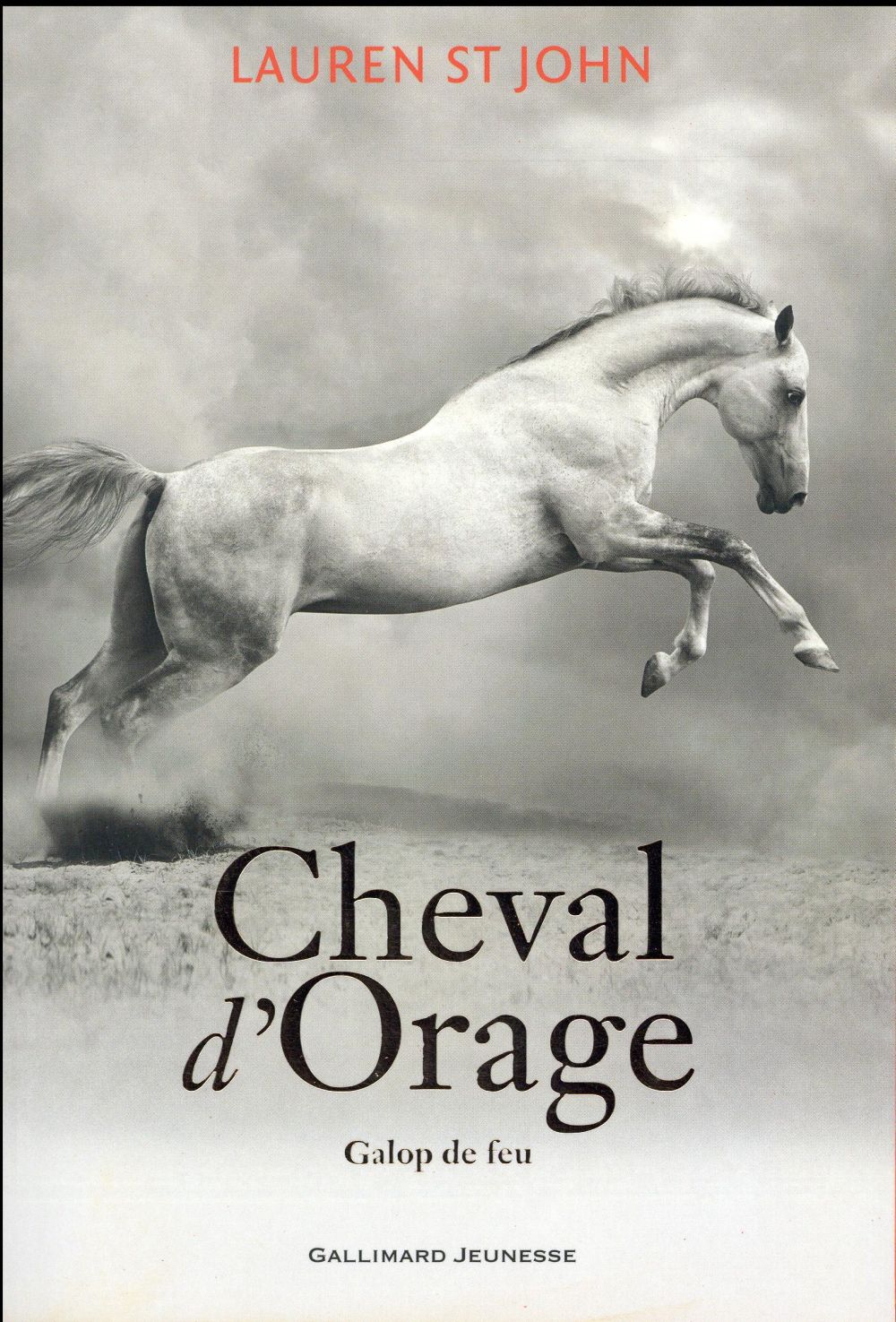 CHEVAL D'ORAGE - VOL03 - GALOP DE FEU