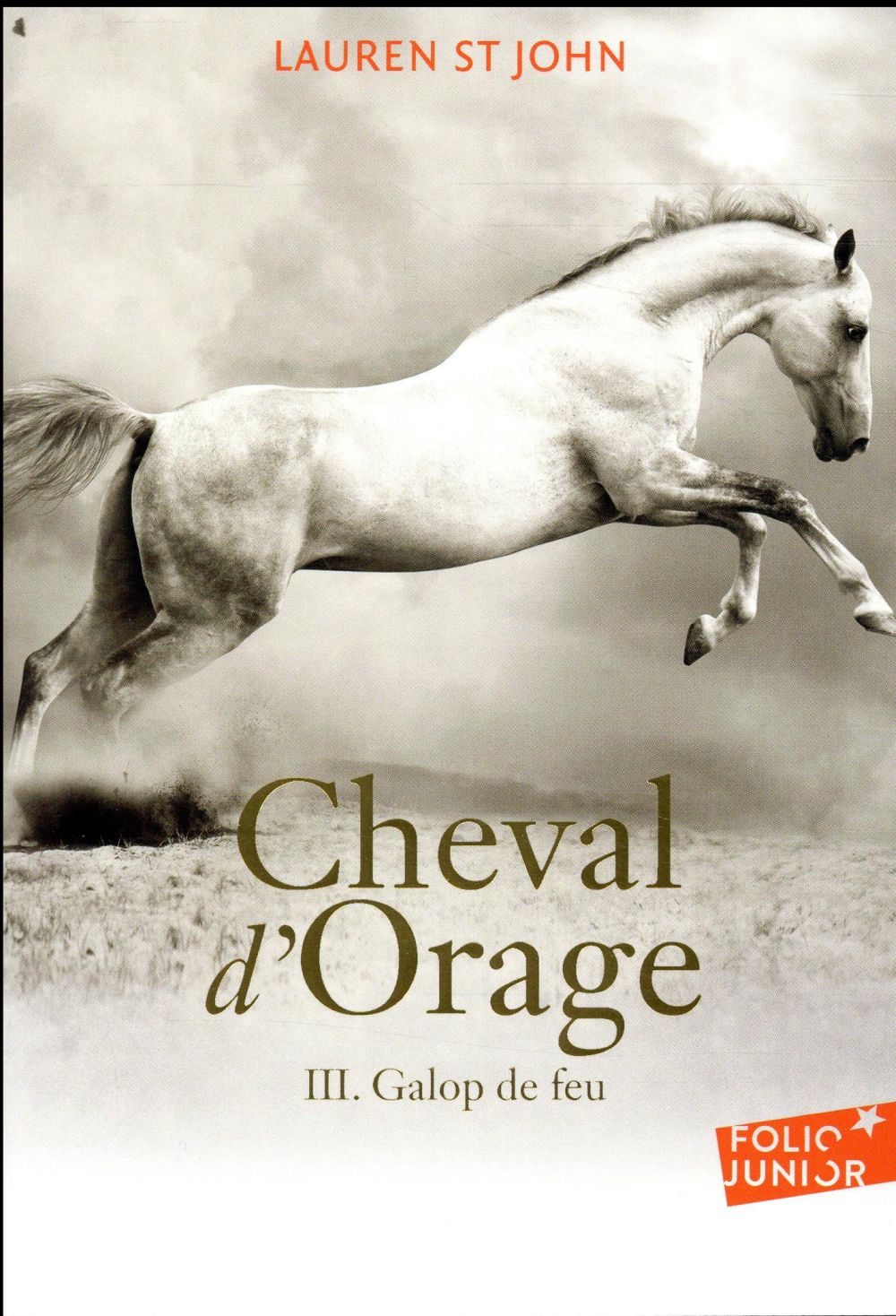 CHEVAL D'ORAGE - VOL03 - GALOP DE FEU