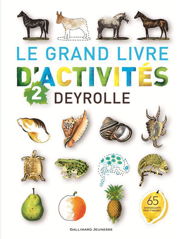 LE GRAND LIVRE D'ACTIVITES DEYROLLE N 2