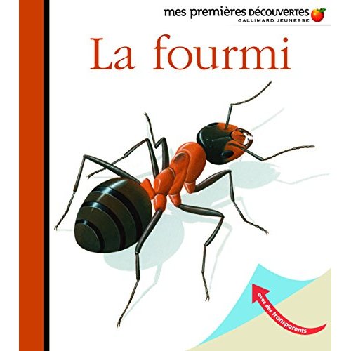 LA FOURMI