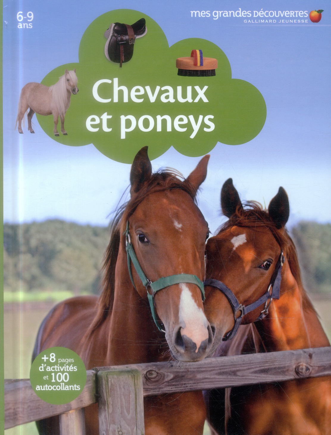 CHEVAUX ET PONEYS