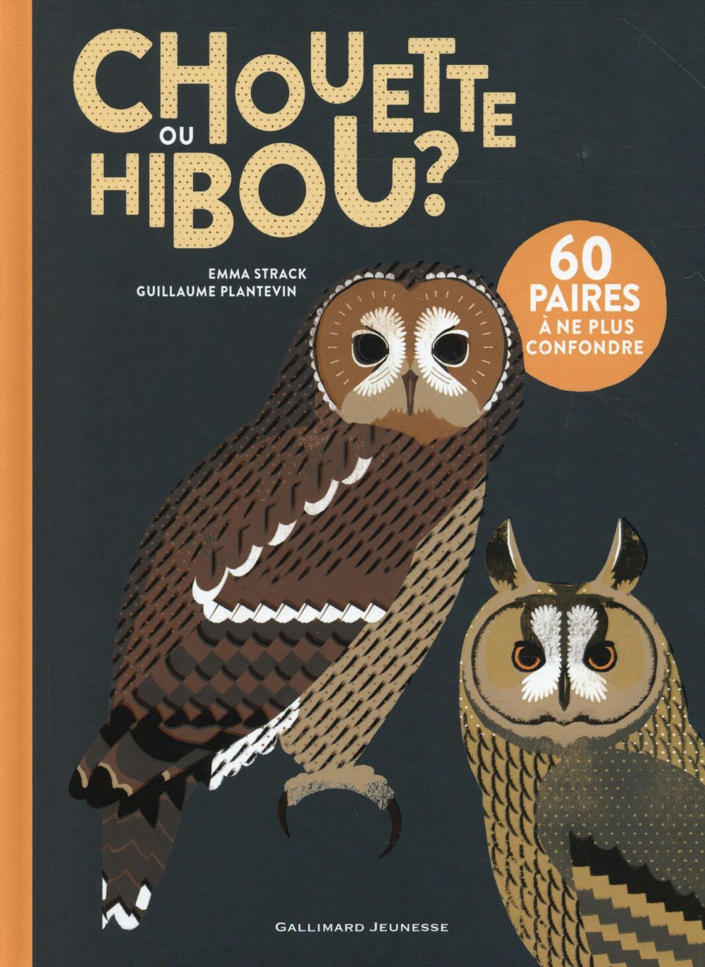 CHOUETTE OU HIBOU ?