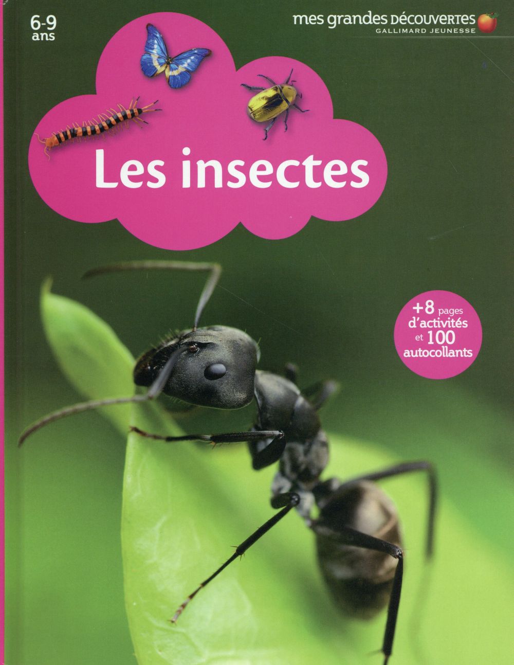 LES INSECTES