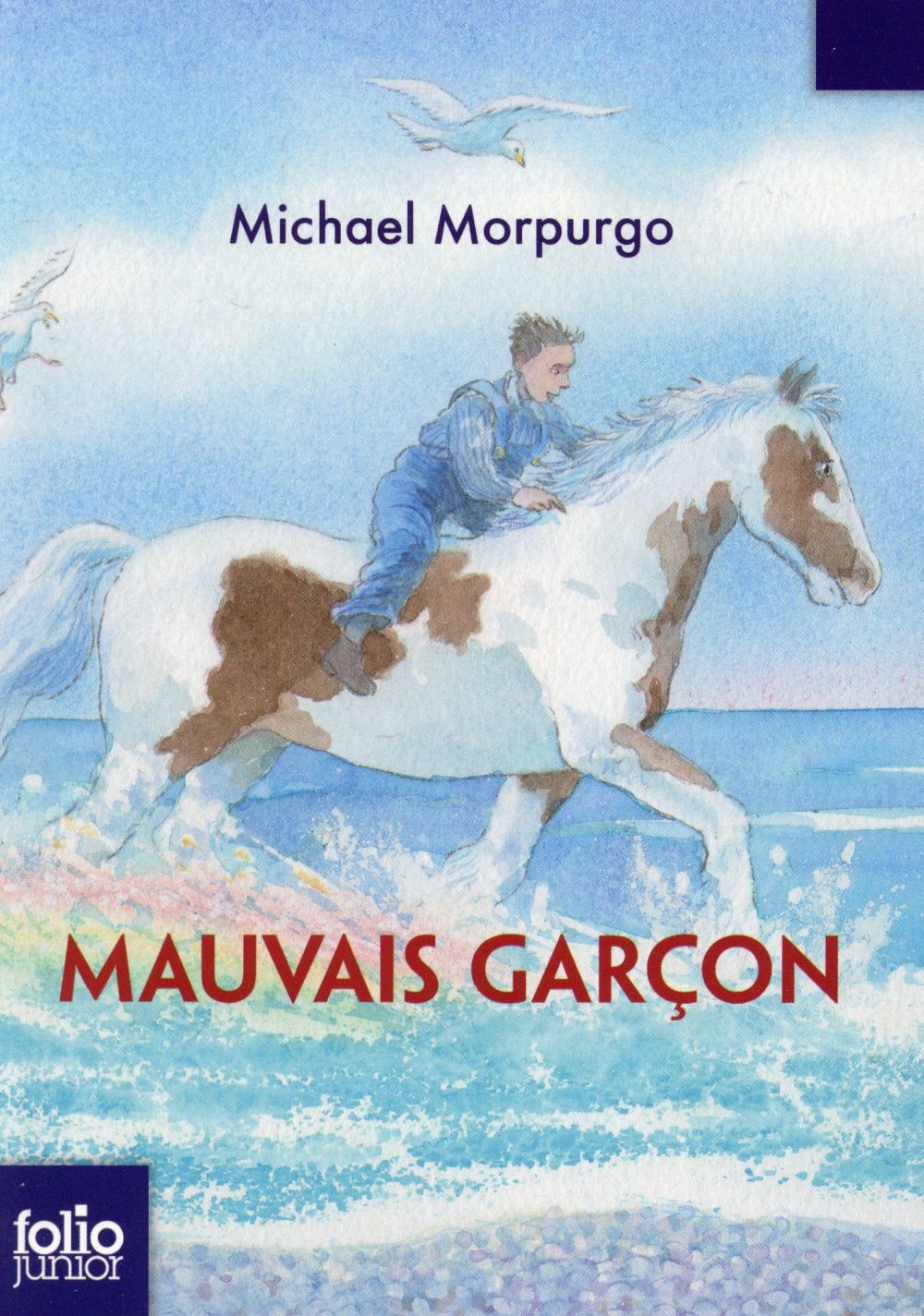 MAUVAIS GARCON