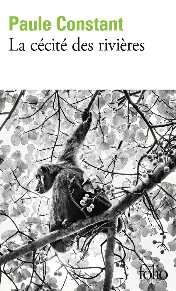 LA CECITE DES RIVIERES