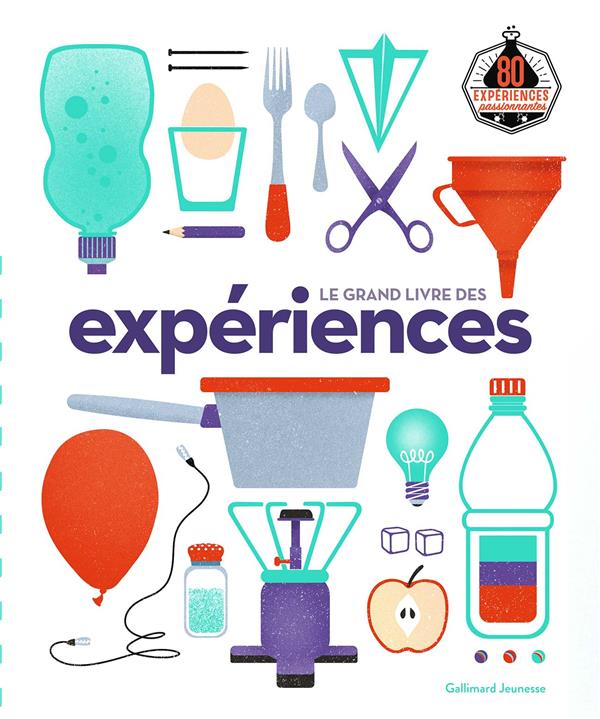 LE GRAND LIVRE DES EXPERIENCES