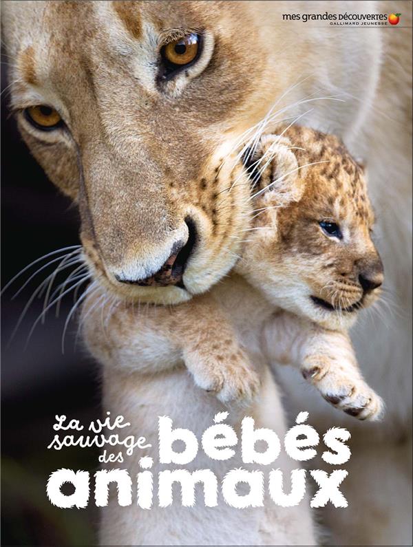 LA VIE SAUVAGE DES BEBES ANIMAUX