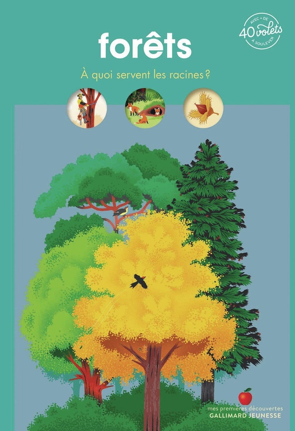 FORETS
