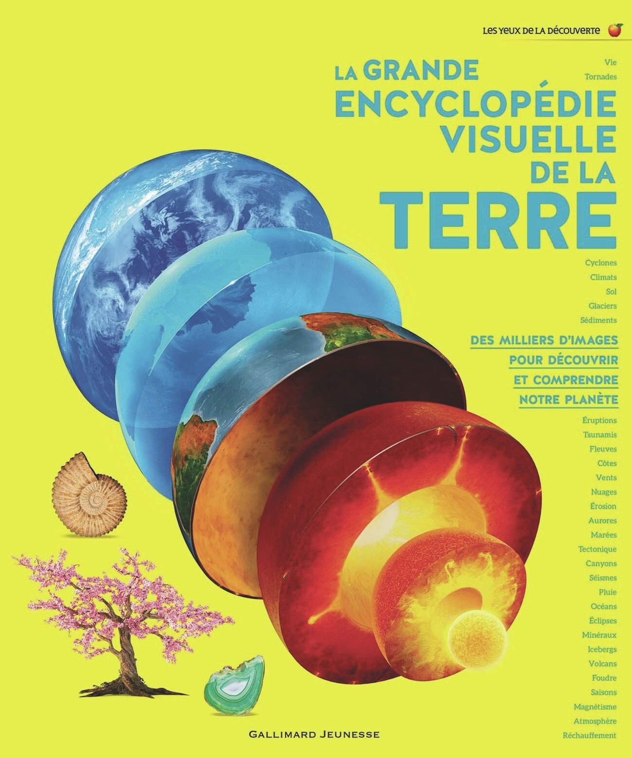 LA GRANDE ENCYCLOPEDIE VISUELLE DE LA TERRE